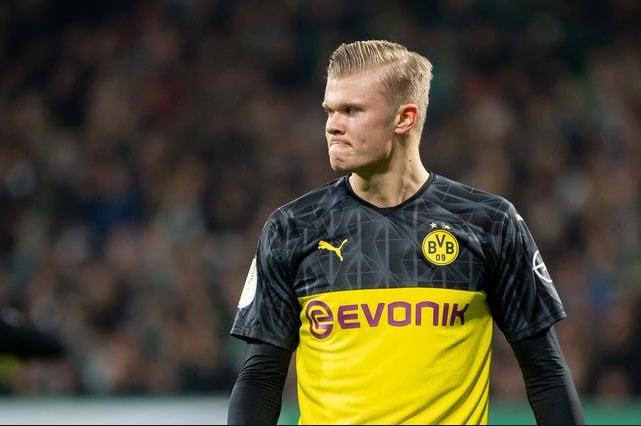 他们的阵容 他们的阵容