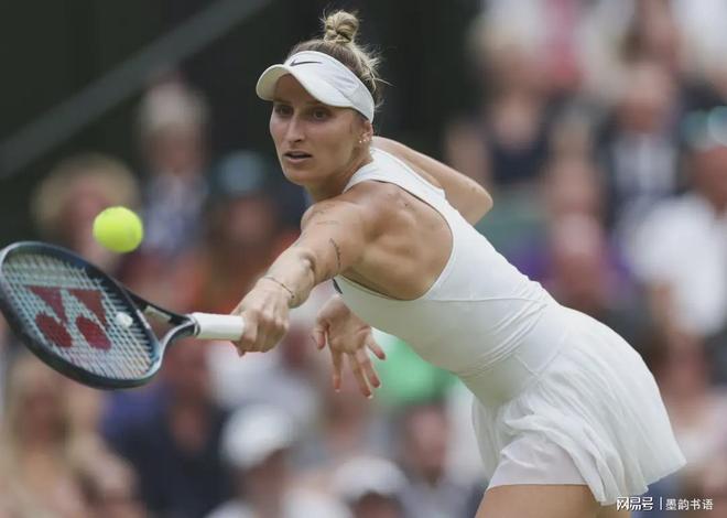 了更多选择 了更多选择