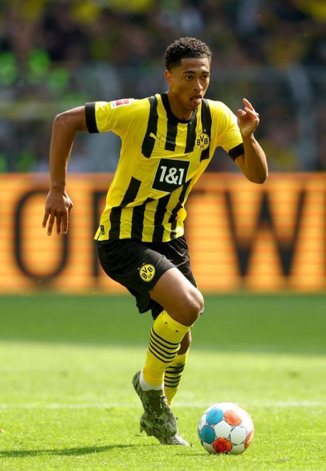 相对收益乘 相对收益乘